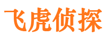 宝丰出轨调查